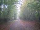 Bois de Chamerolles